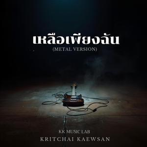 เหลือเพียงฉัน (Metal Version)