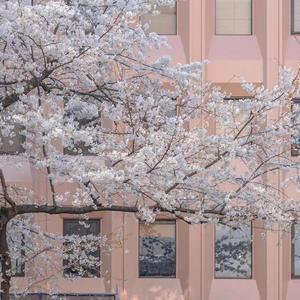 最后只是感动了自己……