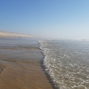 Dansons sur la piste