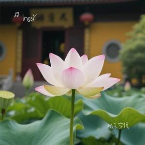 桃夭安悦