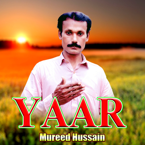 Yaar