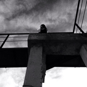 состояние моей души