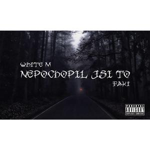 NEPOCHOPIL JSI TO (feat. Faki)