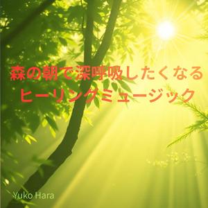 森の入り口で迎えてくれる優しいアンビエント