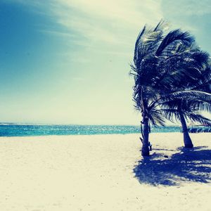 一尘不染开曼群岛印象数