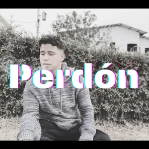 Perdon
