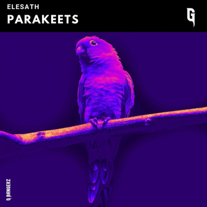 Parakeets
