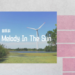 阳光下的旋律