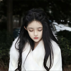 藏诗