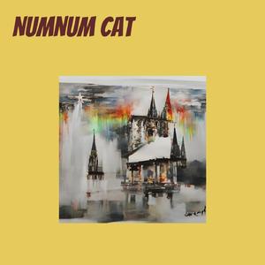 Numnum Cat