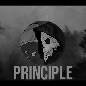 Principle