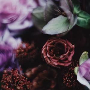 Without You (Sped Up)