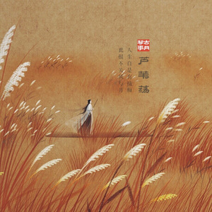 芦苇荡（二胡版）（翻自 无）