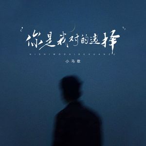 你是我对的选择