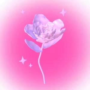 香槟玫瑰(remix）