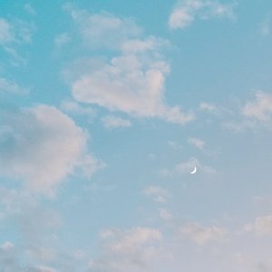 因为你曾瞥见我的脊髓开着花