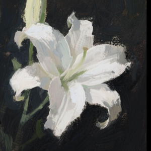 Find me【类司黑白百合同人曲】