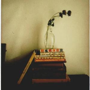 冥想音乐 人生四季