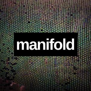 Manifold