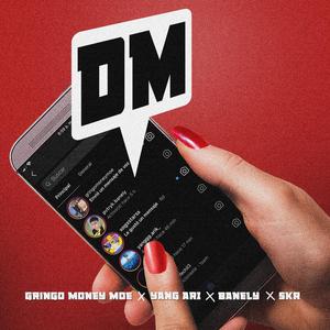 DM (feat. SKR, Banely & Yang Ari) (Remix)