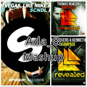 Dimitri Vegas & Like Mike / Thomas Newson / Bassjackers - Louder&Rampage&Ravefield（Ada_& Mashup)