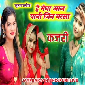 कजरी हे मेघा आज पानी जिन बरसा सुमन सरोज