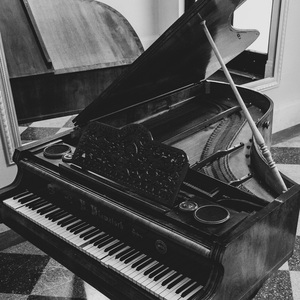 温暖管弦松涛 Warm orchestral sound of pine trees.