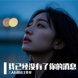 我已经没有了你的消息(男声版)