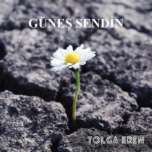 GÜNEŞ SENDİN
