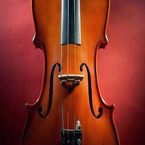 我爱祖国的台湾岛