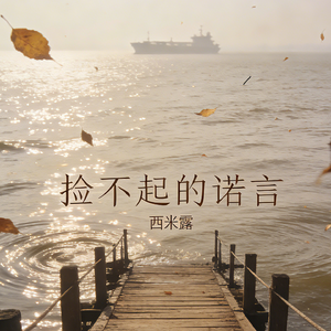 捡不起的诺言