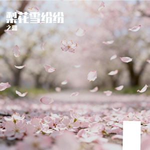 梨花雪纷纷
