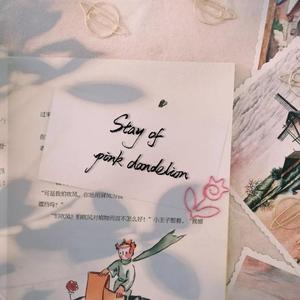 Stay of pink dandelion