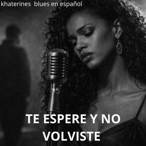 Te espere y no volviste