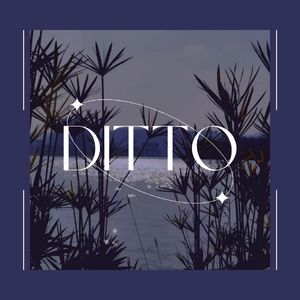 Ditto（cover Newjeans）