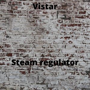 Steam regulator