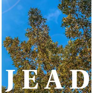 แค่นั้นเอง (that's all)