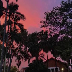 曲肖冰-走马.wav（Archerlry remix）