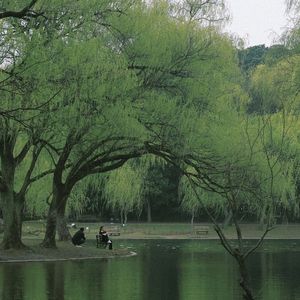 心灵解脱的探索