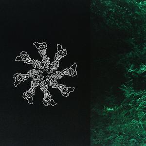 Forget Me Nots (The Lifted Index Remix)