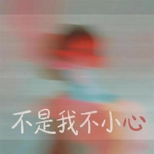 不是我不小心 (Cover 大橘子)