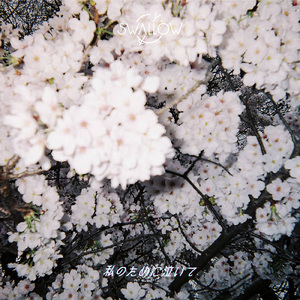 私のために泣いて