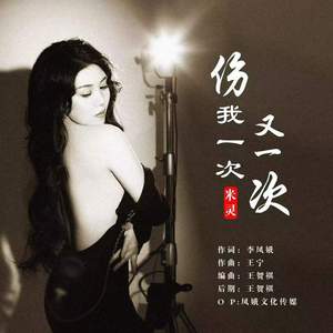 伤我一次又一次