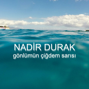 Gönlümün Çiğdem Sarısı