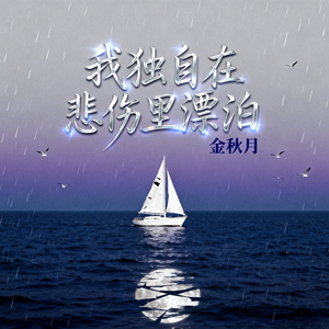我独自在悲伤里漂泊