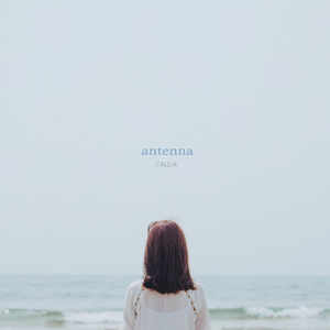 봄날의 꽃이라 기억할게