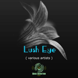 Lush Eye (original mix)