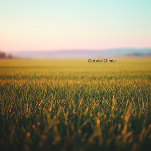 Quiet Fieldline