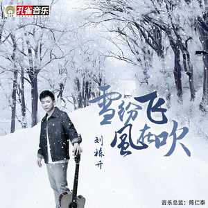 雪纷飞风在吹