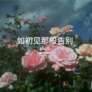 如初见那样告别